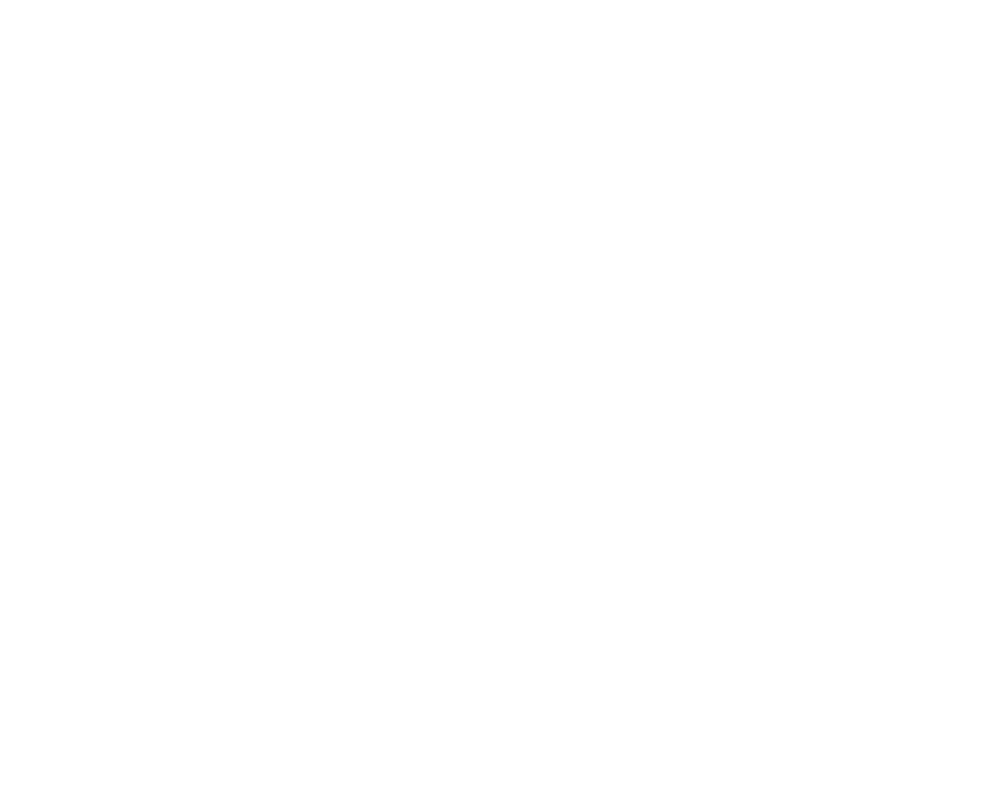 logo carrefour